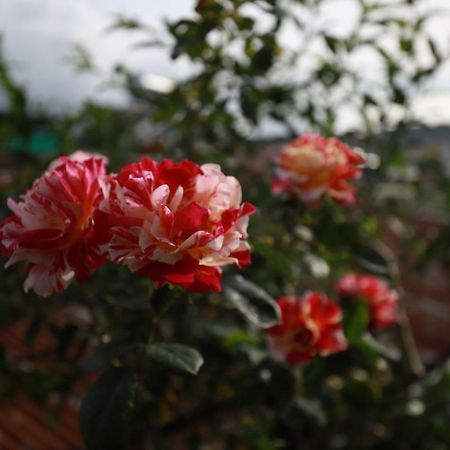 Homestay Doc Tinh Dalat Bagian luar foto