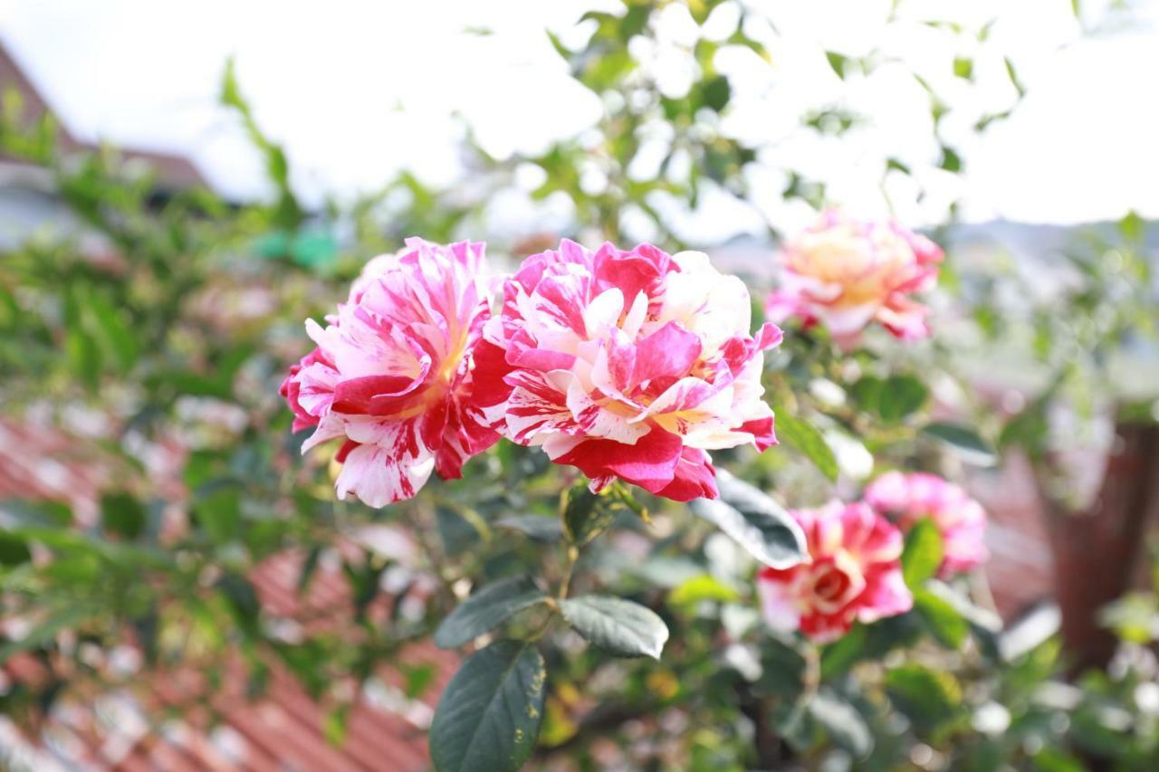 Homestay Doc Tinh Dalat Bagian luar foto